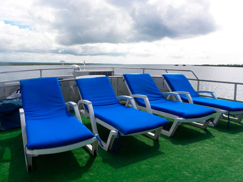 blue deck chairs